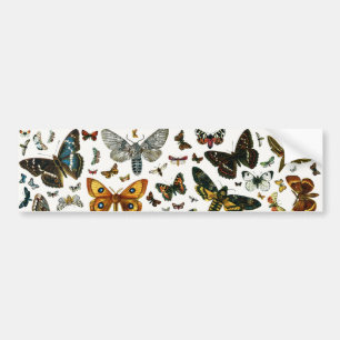 Europe’s Best-Known Butterflies and Moths Collage Autoaufkleber