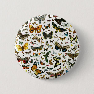 Europe’s Best-Known Butterflies and Moths Collage Button