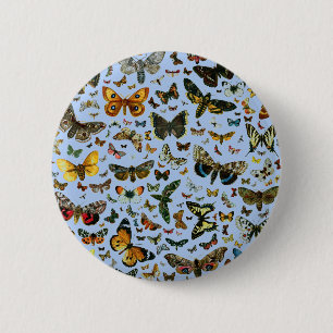 Europe’s Best-Known Butterflies and Moths Collage Button