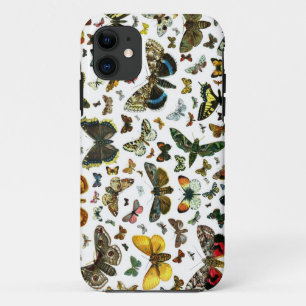 Europe’s Best-Known Butterflies and Moths Collage title_seo2
