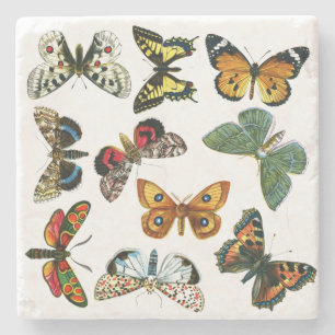 Europe’s Best-Known Butterflies and Moths Collage Steinuntersetzer