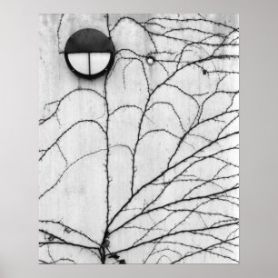 Europe, Switzerland, Lucerne. Ivy pattern on Poster