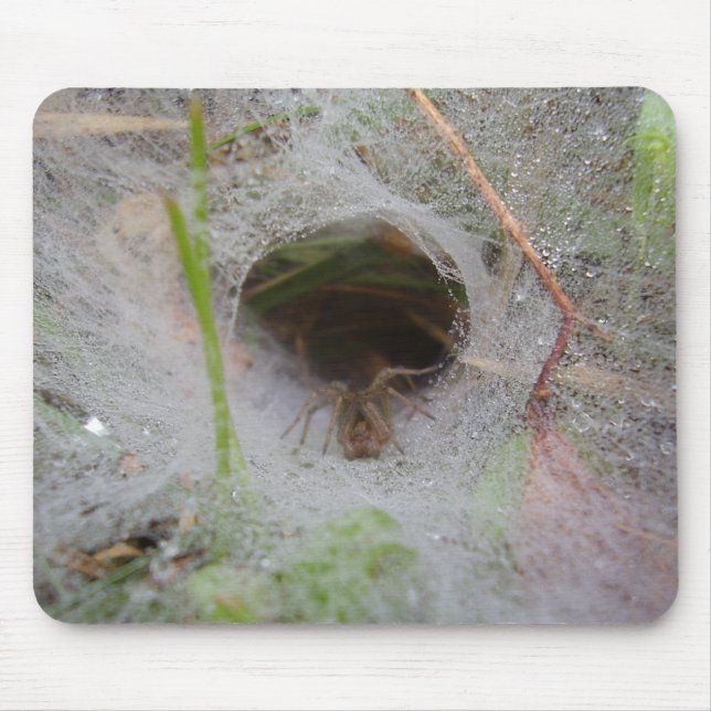 European Funnel Web Spider Mouse Mat Mousepad (Vorne)