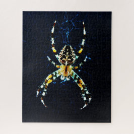 European Garden Spider 16x20 520pc jpm