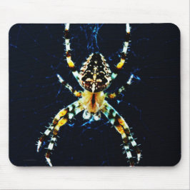 European Garden Spider mpcnm Mousepad