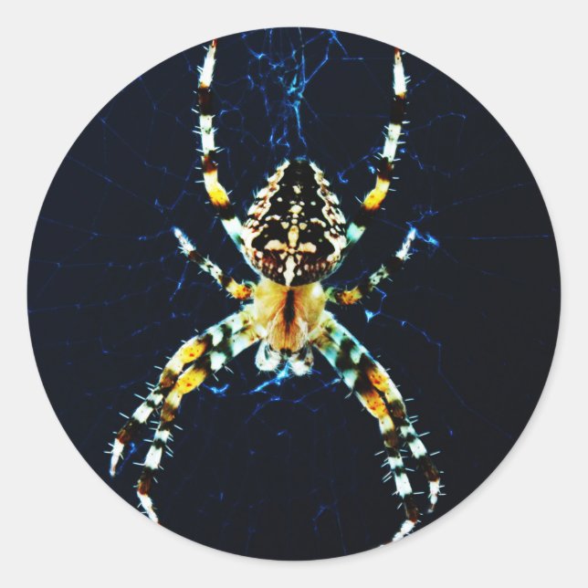European Garden Spider stkcna Runder Aufkleber (Vorderseite)