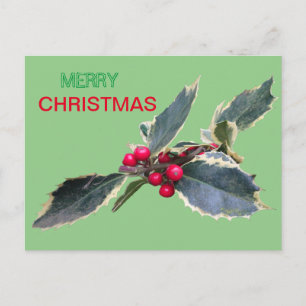 European Holly Joyeux Noël Cust. Carte postale