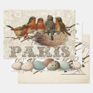 European Robin French Script Nest Egg Postmark Set Geschenkpapier Set