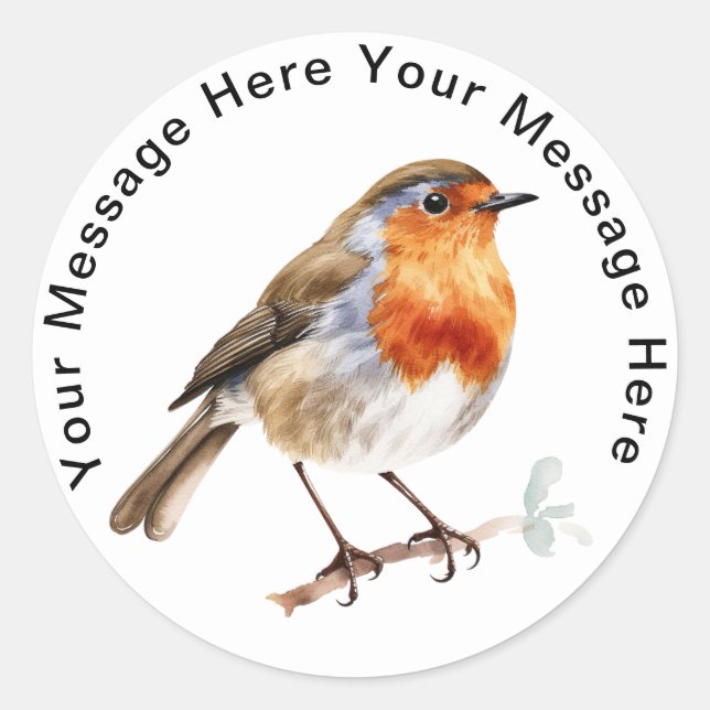 European Robin Runder Aufkleber (Vorderseite)