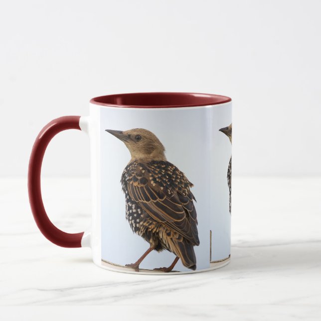 European Starling Bird Mug (Gauche)