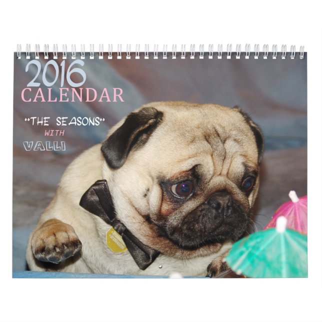 Europug Kalender 2016 "die Jahreszeiten mit Valli (Titelbild)