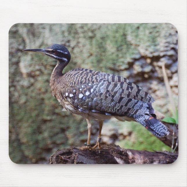 Eurypyga helias Sunbittern Mousepad (Vorne)