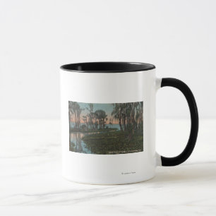 Eustis, Florida - Ansicht des Swampy Kanals Tasse