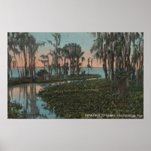 Eustis, Florida - Blick auf den Swampy-Kanal Poster