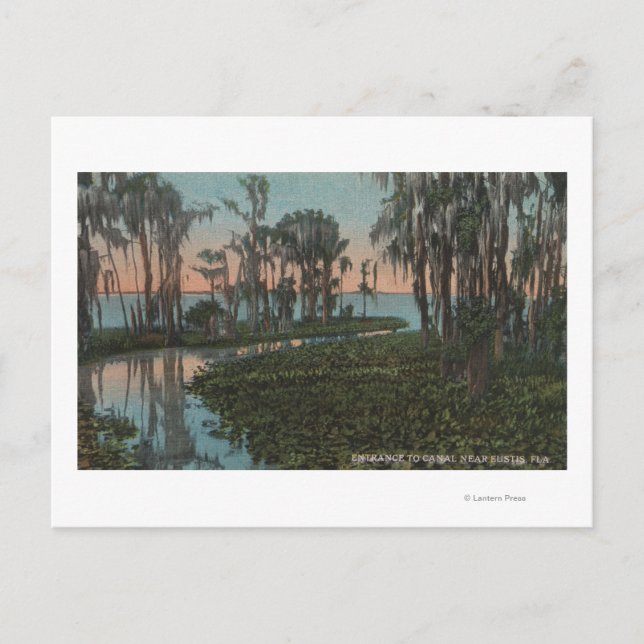 Eustis, Florida - Blick auf den Swampy-Kanal Postkarte (Vorderseite)