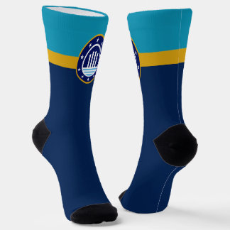 Evansville (Indiana) Stadtflagge Socken