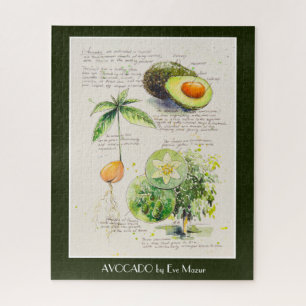 EVE Painted Avocado Botanical Illustration Poster