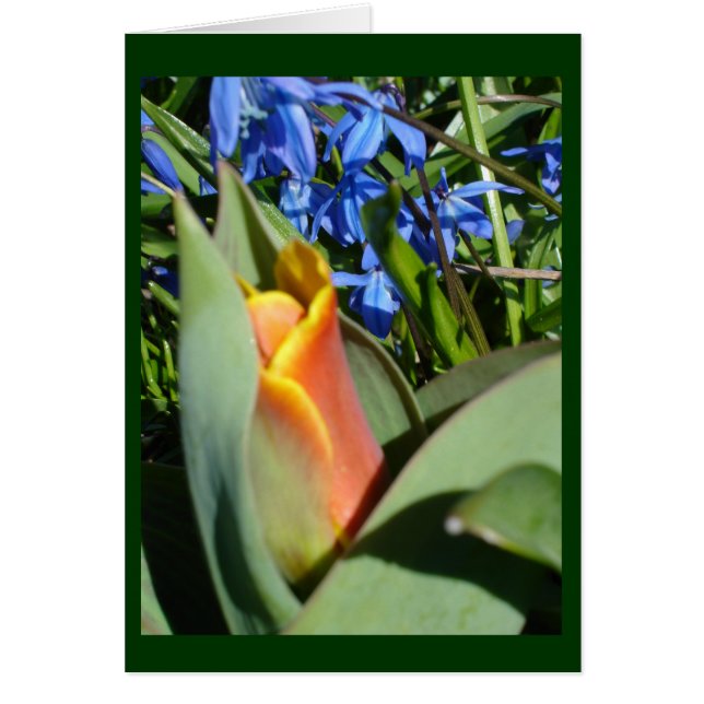 éveil printanier (Devant)