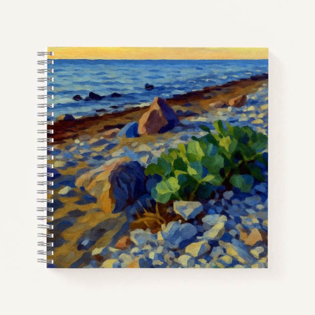Evening light on the coast of Vormsi Notizbuch (Vorderseite)