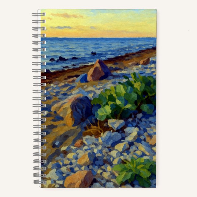 Evening light on the coast of Vormsi Notizbuch (Vorderseite)