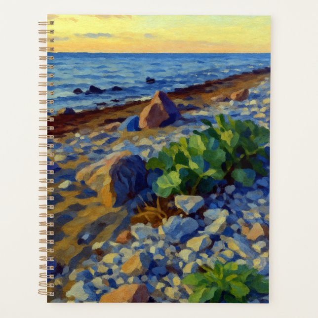 Evening light on the coast of Vormsi Planer (Vorderseite)