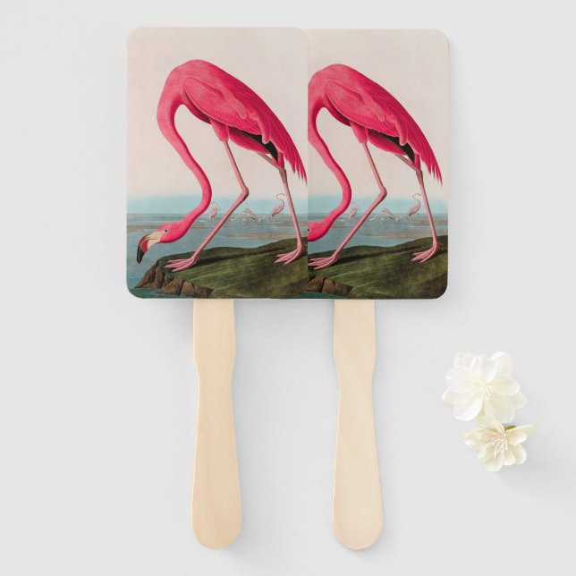Éventail American Flamant rose Birds of America Audubon Imp (Devant et derrière)