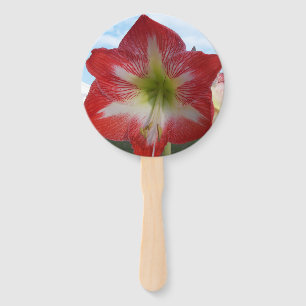 Éventail Fleur d'Amaryllis rouge et blanc contre ciel
