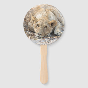 Éventail Jeunes lions