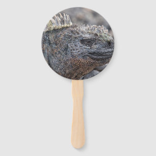 Éventail Marine Iguana