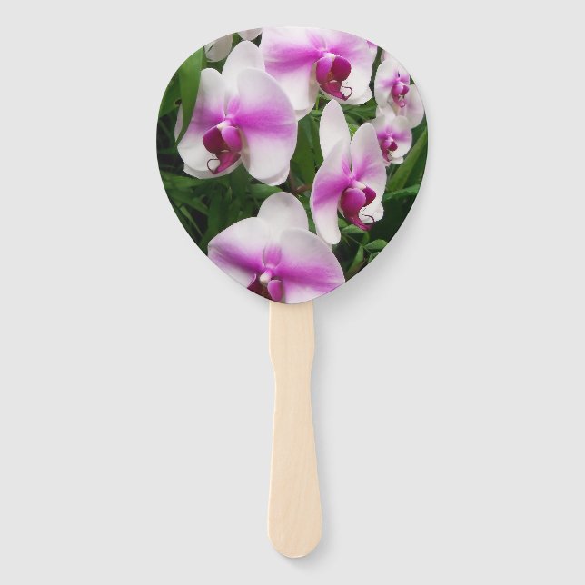 Éventail Orchidées blanches uniques avec un ventilateur en  (Devant)