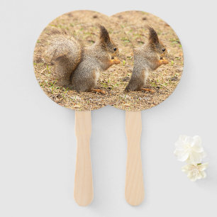 Éventail Photo d'un écureuil mignon mangeant une noix