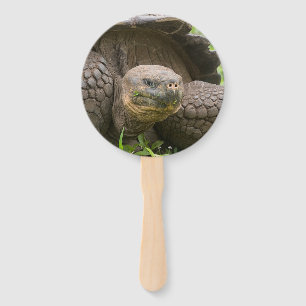 Éventail Tortue géante