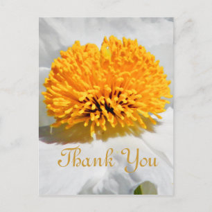 Eventuelle Ereignisse_ Postkarte