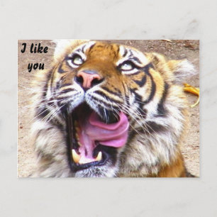 Eventuelle Ereignisse_ Postkarte