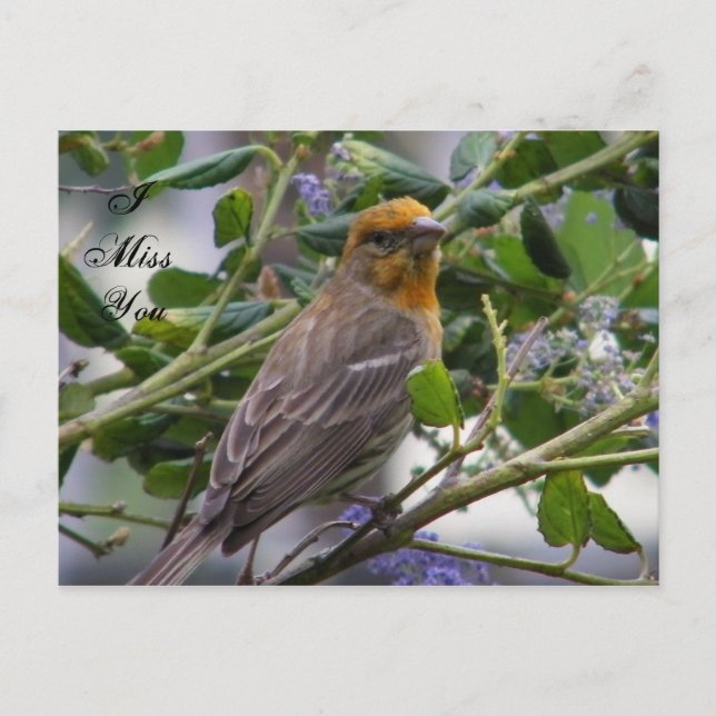 Eventuelle Ereignisse_ Postkarte (Vorderseite)