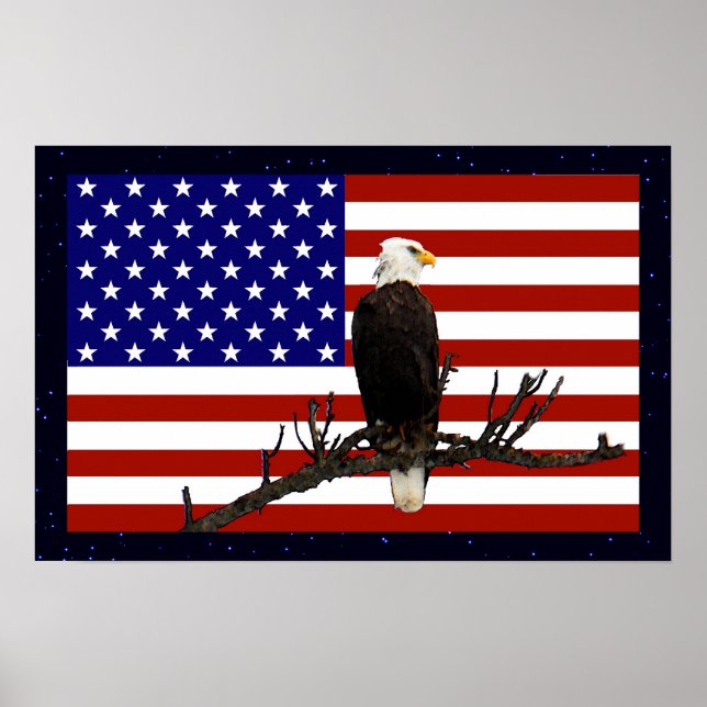 Ever Vigilant Bald Eagle Poster (Vorne)