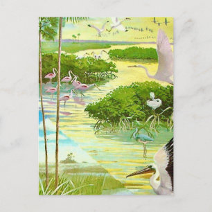 Everglades Bird Postcard Postkarte