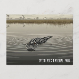 Everglades Florida Alligator Travel Postkarte