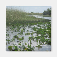 Everglades