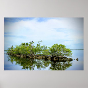 Everglades Mangroves Poster