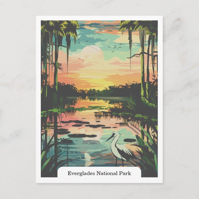 Everglades National Park, Florida USA Postkarte (Vorderseite)