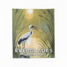 Everglades National Park | Wasserfarben-Storch