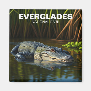 Everglades Nationalpark Florida Alligator Magnet