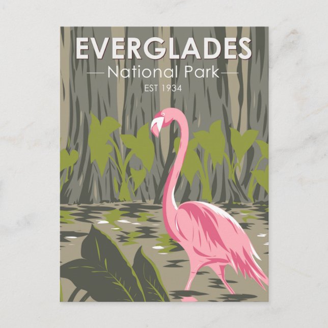 Everglades Nationalpark Florida Flamingo Vintag Postkarte (Vorderseite)