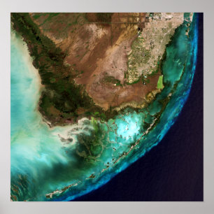 Everglades Nationalpark Florida Keys Poster