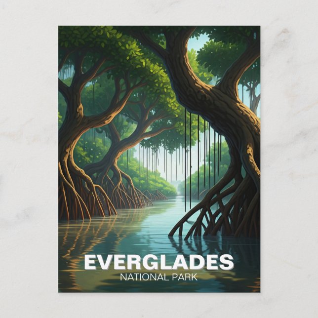 Everglades Nationalpark Florida Mangrove Postkarte (Vorderseite)