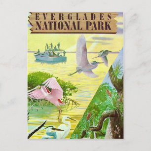 Everglades Nationalpark Postcard Postkarte