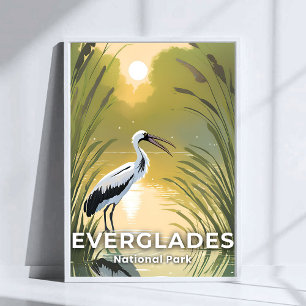 Everglades-Nationalpark   Wasserfarbstorch Poster