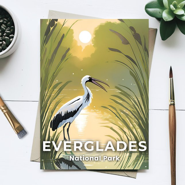 Everglades-Nationalpark | Wasserfarbstorch Postkarte (Von Creator hochgeladen)