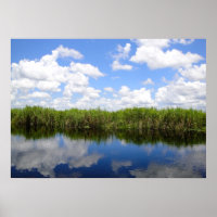 Everglades